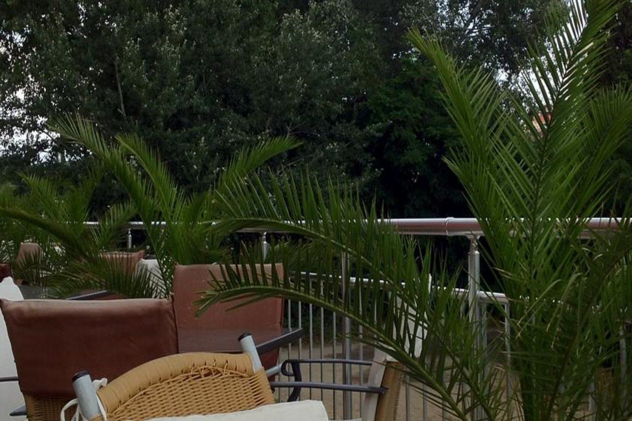 Tm Deluxe Hotel Sunny Beach Dış mekan fotoğraf